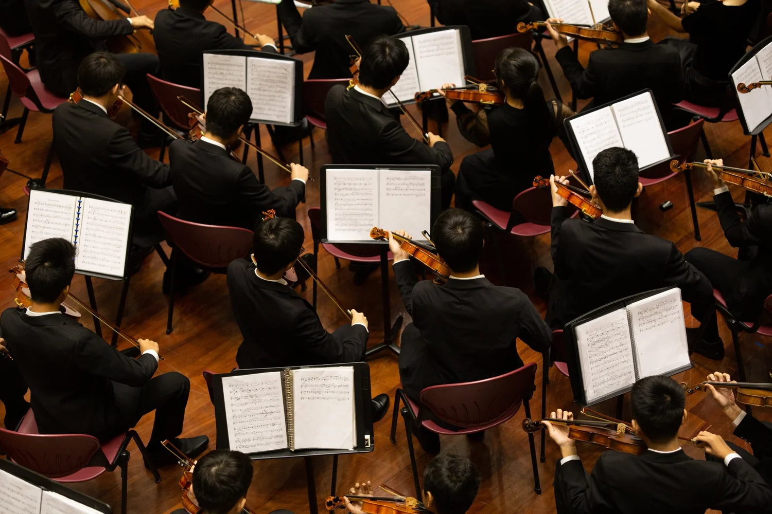 Orchestra of musicians dressed in formal black attire playing violins on a wooden stage, viewed from above, with sheet music on music stands.